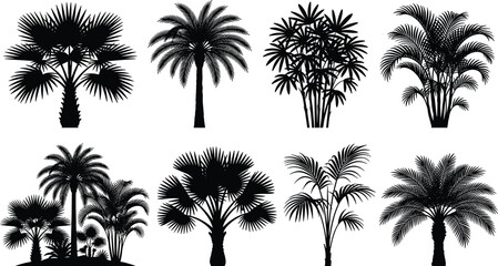 Naklejka premium Tropical Palm Tree Silhouette Collection Isolated on White Background for Vector Design