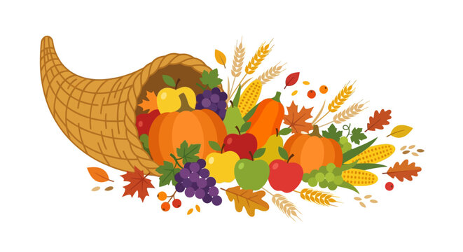 Thanksgiving cornucopia with autumn harvest fruits and vegetables vector illustration. Horn of plenty.