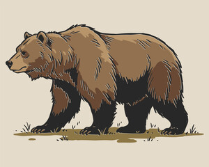 Obraz premium Large brown grizzly bear walking on grassy ground with vintage art style