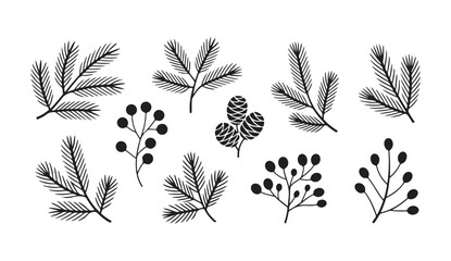 Christmas tree branches, pine needles, cones, and berry sprigs on transparent background. © MSTALIMA