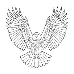 Fototapeta premium Majestic Bald Eagle Line Art Outline – Flying Eagle Vector