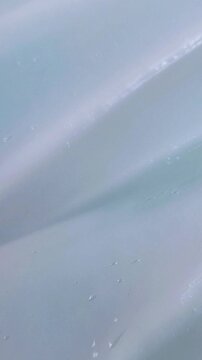 Top view of skin cream being spread and smoothed using a white spoon. Close up process of applying beauty cream evenly. Skincare texture concept.