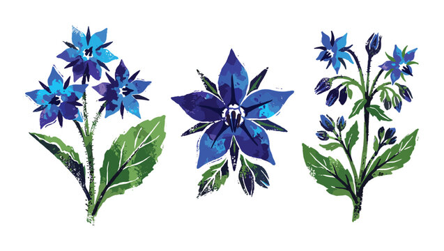 Watercolor borage herb illustrations with blue petals and green leaves