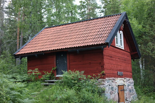 old house in the woods