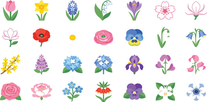 Colorful Spring Flower Collection Featuring Tulips Daffodils Roses Pansies Hydrangeas Irises and Botanical Floral Vector Illustration Set