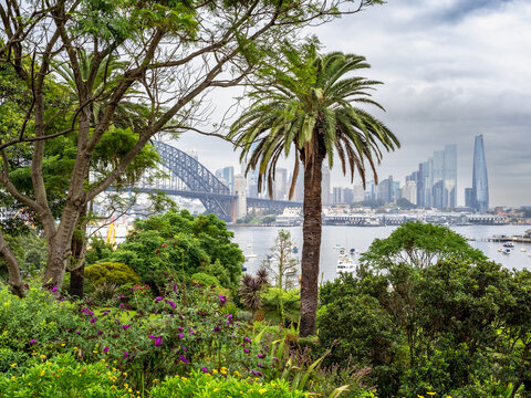 Wendy Whiteley's Secret Garden in Sidney