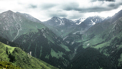 Obraz premium Landscape Kazachstan, mountain, peak, trees, blue, clubs, green, snow, 