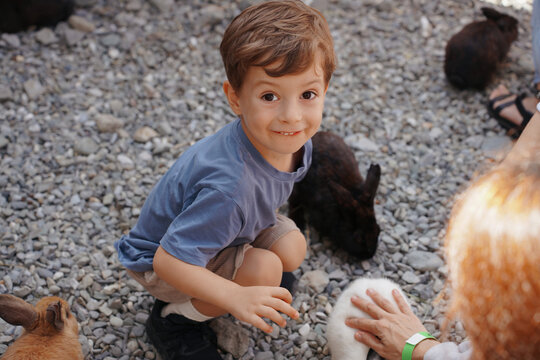Toddler Playing With Rabbits On A Farm