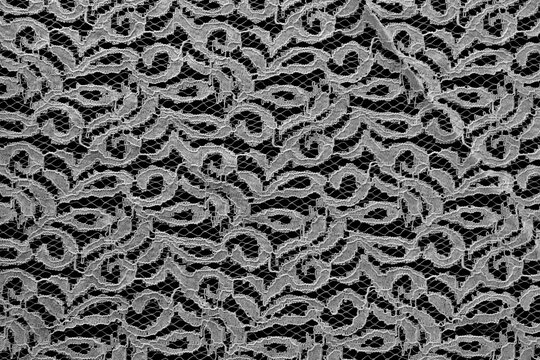 white lace fabric with black transparent background Romantic White Lace Embroidery with Classic Floral Design for Fashion Background