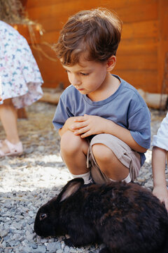 Toddler Playing With Rabbits On A Farm
