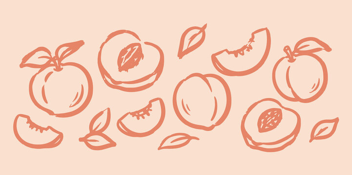 Peach fruit set doodle illustration vector