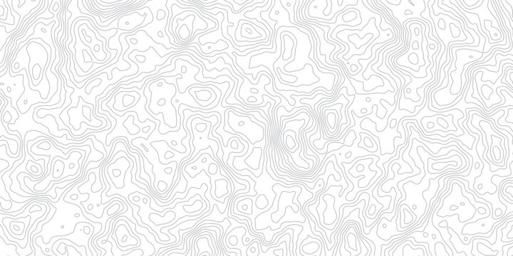 Abstract topographic map contour line background pattern with white terrain elevation lines on a clean white backdrop