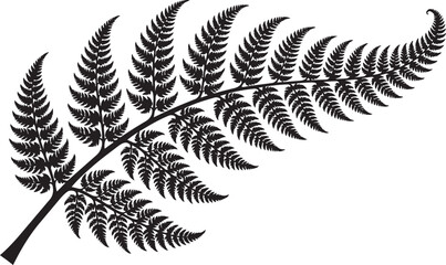Black silhouette of a fern frond © Neostocker