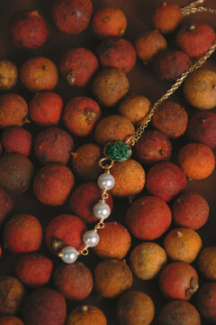Elegant Necklace Displayed on Corozo Berries in Tropical Still Life