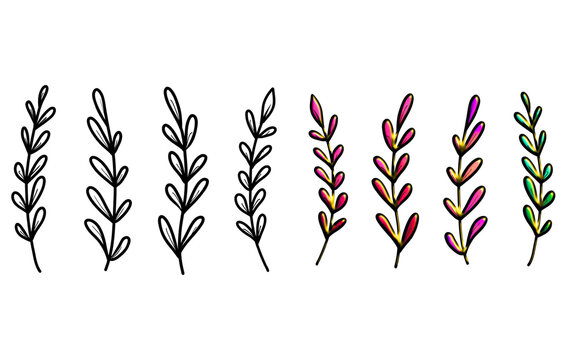 Hand drawn botanical leafy branch sprigs vector elements set