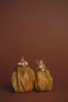 Floral Rings Resting on Physalis Fruits with Natural Husks