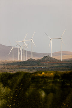 White wind turbines stand against mountains in an arid Lanzarote area.