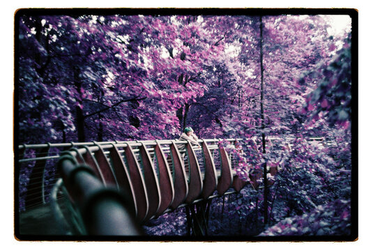 A woman leans on a footbridge lost in surreal purple trees