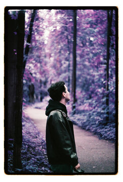 A man gazes upward on a violet-canopied forest path