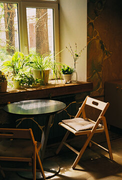 Houseplants line the windowsill of a sun-filled dining nook