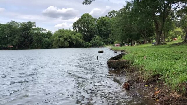 Natural lake landscape showing calm water movement, green grassy shore, and lush trees under cloudy sky. Ideal footage for travel, environmental, relaxation, nature background, and outdoor lifestyle