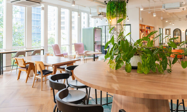 Cozy Coworking Space With Plants and Wooden Furniture in the City
