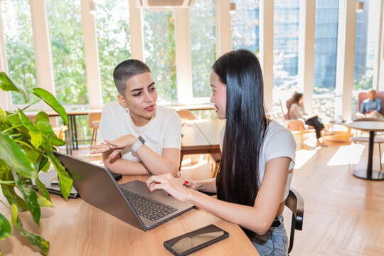 Women Talking and Working on Laptop in a Modern Office Space