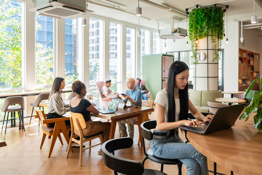People Working at an Office With Plants and Large Windows in the City