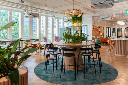 Modern Workspace With Plants, Seating, and Large Windows in City