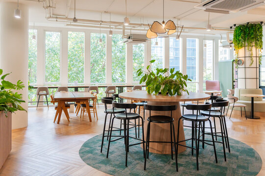 Bright Workspace With Wooden Tables and Plants in a Modern Setting