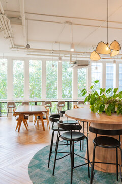 Modern Workspace With Plants and Natural Light During Daytime