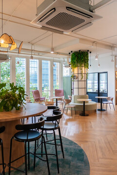 Cozy Indoor Workspace with Chairs and Plants in a Modern Setting