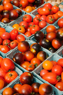 Fresh cherry tomatoes