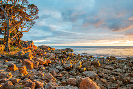 Bunker Bay Sunrise Western Australia
