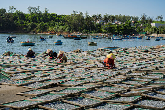 Workers Among Drying Trays