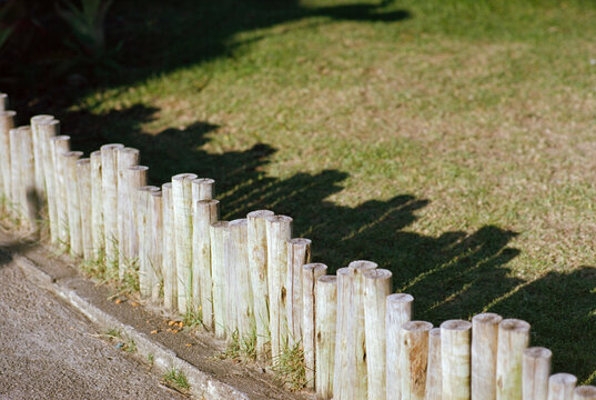 Wooden Posts And Shadows