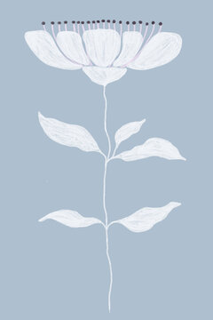 Hand-drawn white flower on blue background. Modern art.