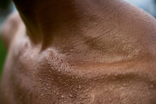 Close-up of Wet Skin Shining in Sunlight Outdoors
