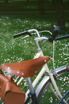 Bicycling Through a Field of Flowers on a Sunny Afternoon