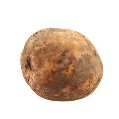 Fototapeta premium Single Raw Potato with Soil and Imperfections vegetable tuber isolated on a transparent background