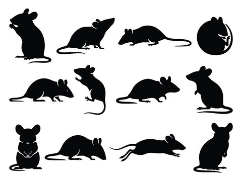 Deer Mouse Silhouette Vector Set - Field Mice and Rodent Clipart