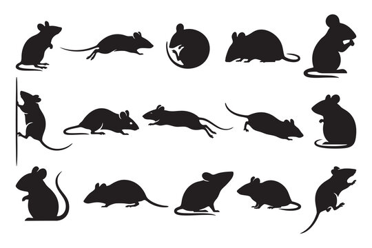 Field Mouse Silhouette Vector Set - Wild Rodent and Rat Clipart