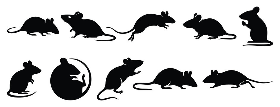 House Mouse Silhouette Vector Set - Mus Musculus Rodent Clipart