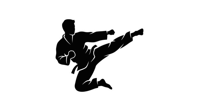 Martial Arts Silhouette: Karateka Performing High Kick in Mid-Air