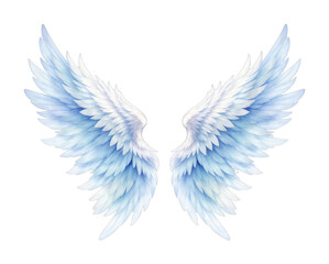Obraz premium PNG Ethereal watercolor angel wings illustration.