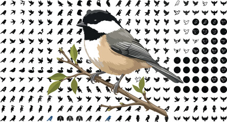 Black-capped Chickadee Perching on Branch Vector Illustration Isolated on White © MstMursalina