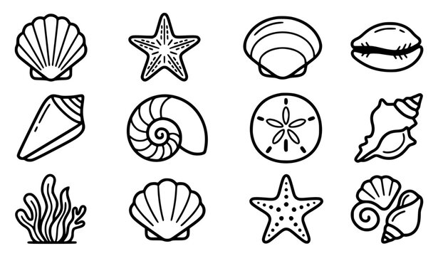 Generic sea shells and starfish collection vector icon set with simple bold line art classic complete unbranded scallop shell nautilus spiral marine life starfish texture and ocean coast clip art blac