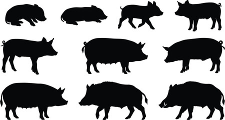 Black Silhouette Pig and Wild Boar Icons Depicting Piglets, Domestic Pigs, and Growth Stages © MD