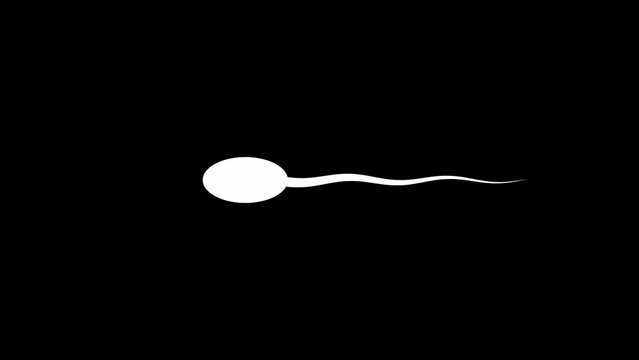 Single white sperm cell with an oval head and a long wavy tail, isolated against a solid black background