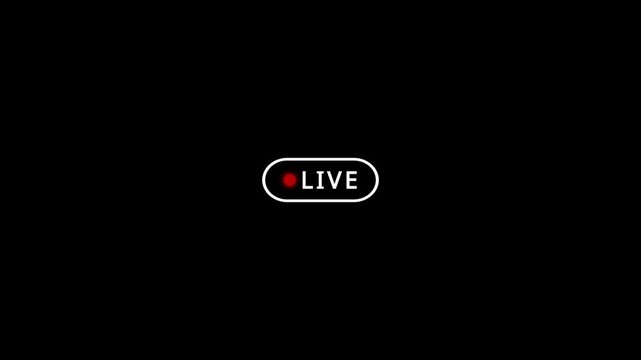 White live button on black background, simple live streaming icon looped animation with alpha. Animated of live streaming and broadcasting concept.